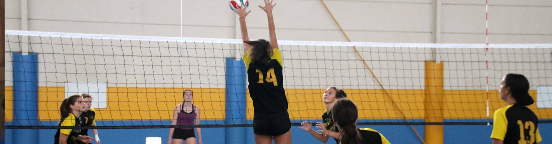 équipe volley ball - MJC Coursan